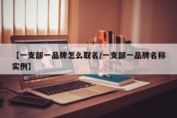 【一支部一品牌怎么取名/一支部一品牌名称实例】