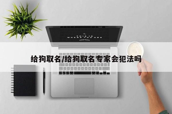给狗取名/给狗取名专家会犯法吗